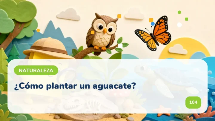 ¿Cómo plantar un aguacate?