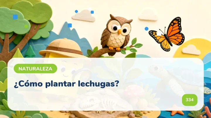 ¿Cómo plantar lechugas?