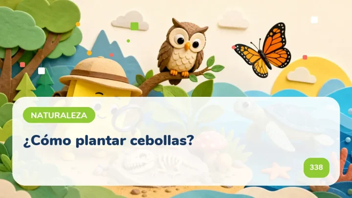 ¿Cómo plantar cebollas?
