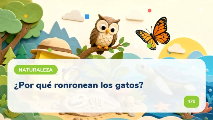 ¿Por qué ronronean los gatos?