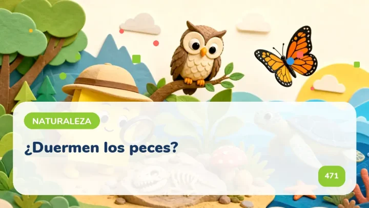 ¿Duermen los peces?
