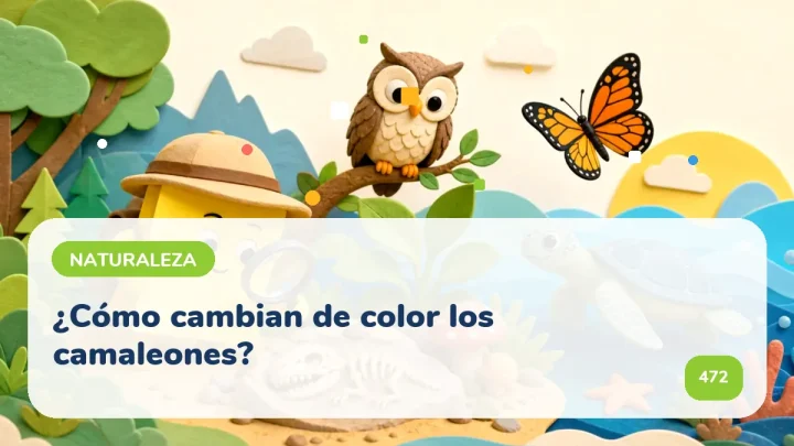¿Cómo cambian de color los camaleones?