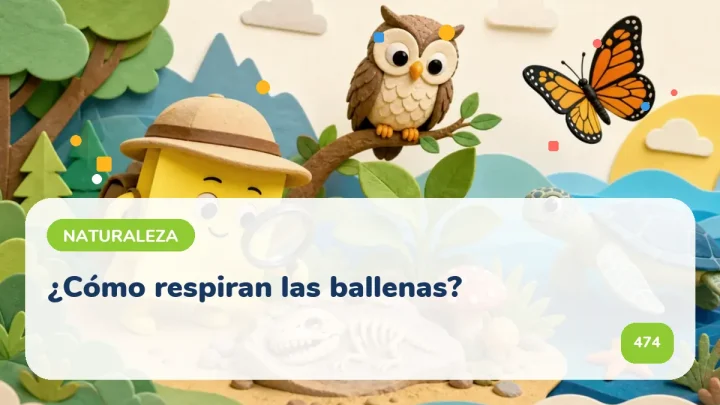 ¿Cómo respiran las ballenas?