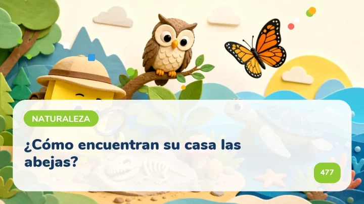 ¿Cómo encuentran su casa las abejas?