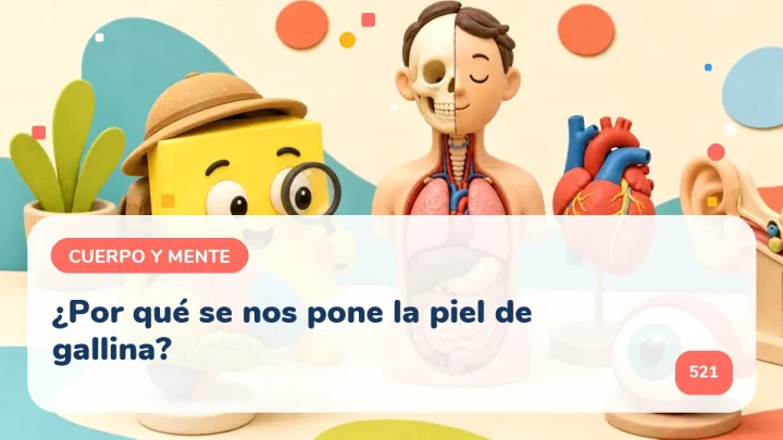 ¿Por qué se nos pone la piel de gallina?
