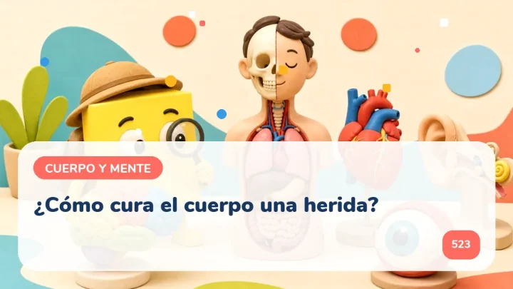 ¿Cómo cura el cuerpo una herida?