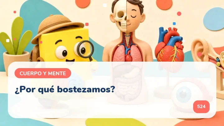 ¿Por qué bostezamos?
