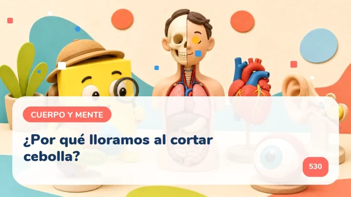 ¿Por qué lloramos al cortar cebolla?