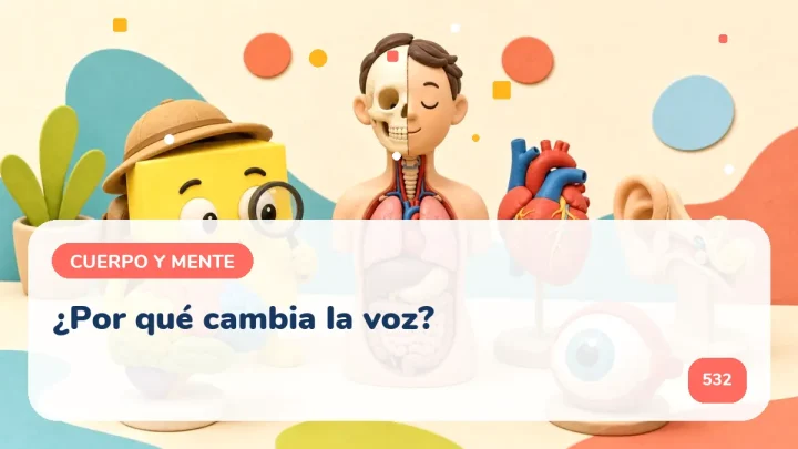 ¿Por qué cambia la voz?