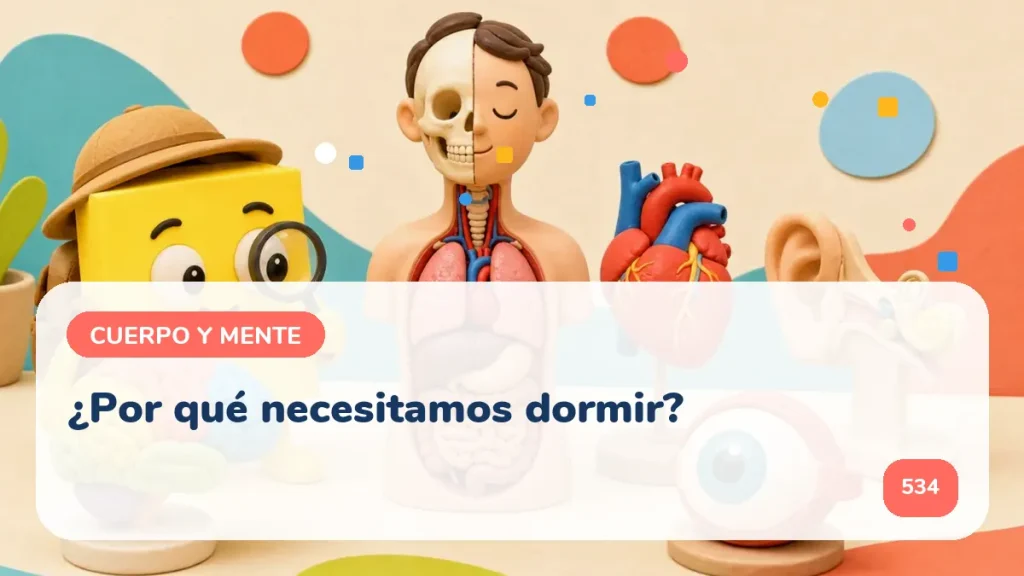¿Por qué necesitamos dormir?