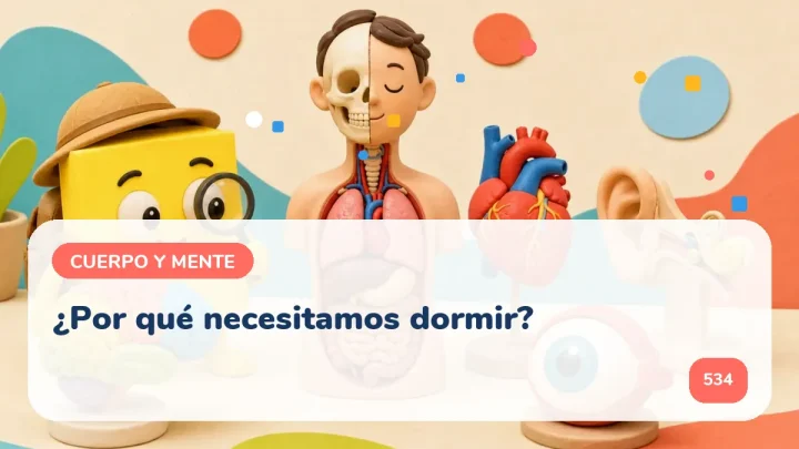 ¿Por qué necesitamos dormir?