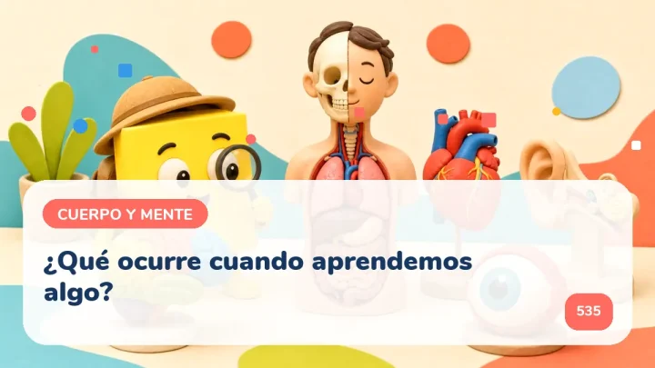 ¿Qué ocurre cuando aprendemos algo?